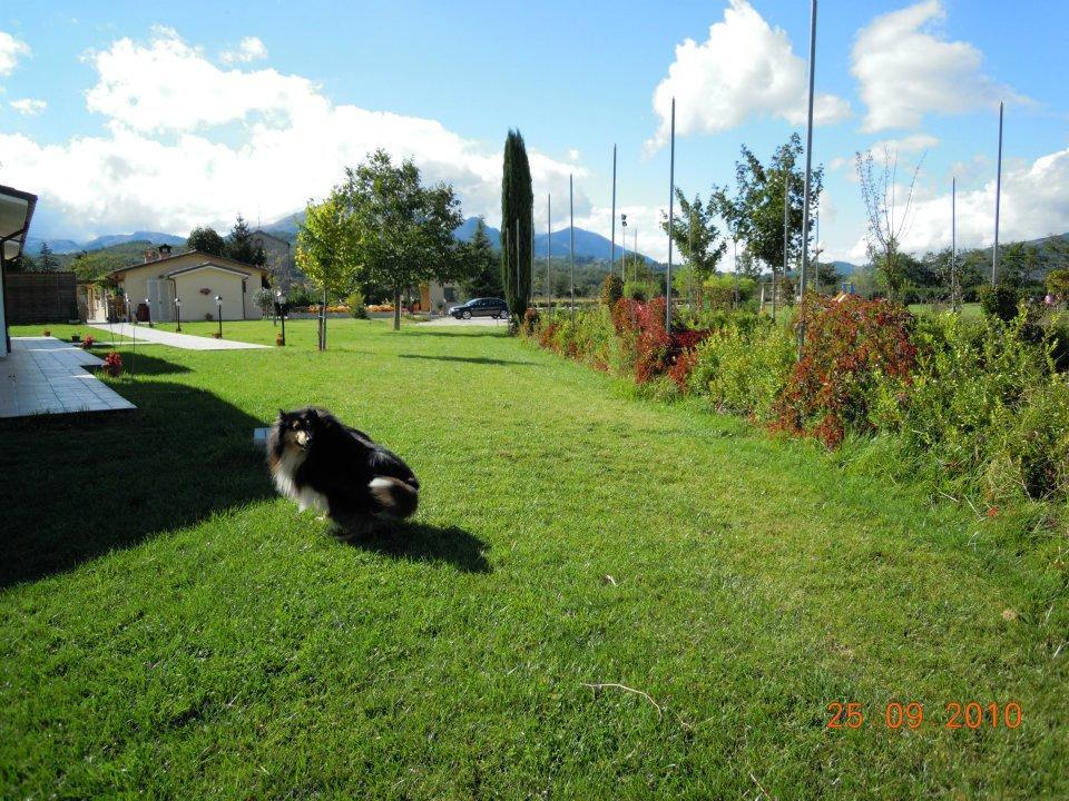 فيلا سان ماسيموفي Agriturismo Le Due Arcate المظهر الخارجي الصورة