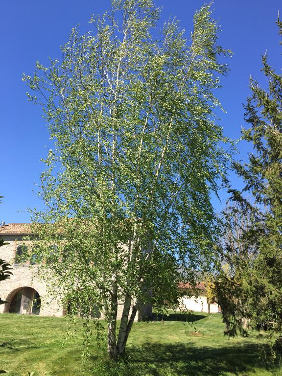 فيلا سان ماسيموفي Agriturismo Le Due Arcate المظهر الخارجي الصورة