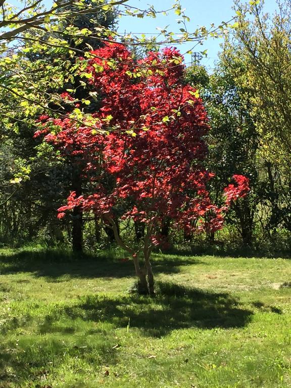 فيلا سان ماسيموفي Agriturismo Le Due Arcate المظهر الخارجي الصورة